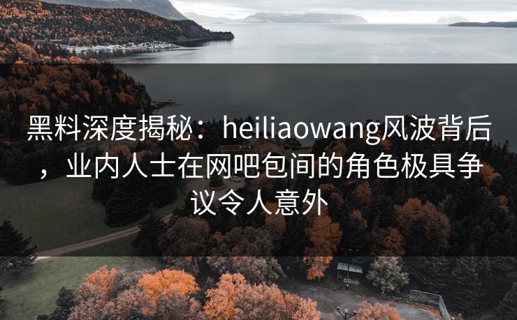黑料深度揭秘：heiliaowang风波背后，业内人士在网吧包间的角色极具争议令人意外
