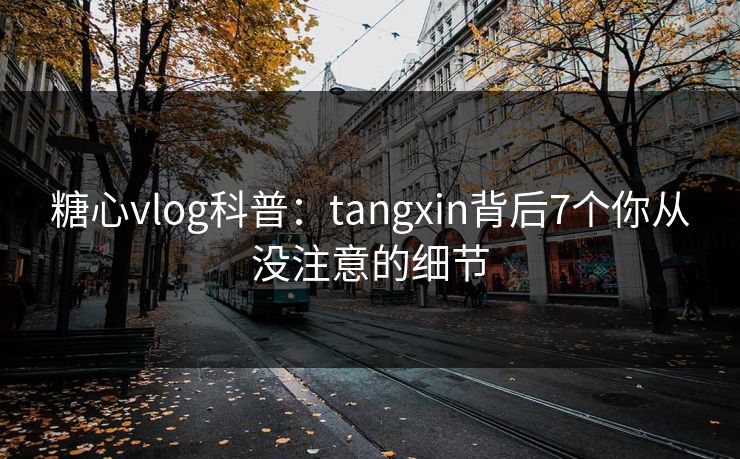 糖心vlog科普:tangxin背后7个你从没注意的细节 第1张 糖心vlog科普:tangxin背后7个你从没注意的细节 第1张