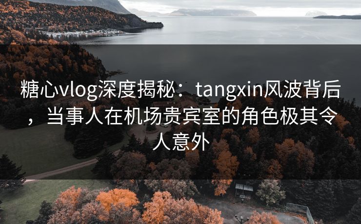 糖心vlog深度揭秘：tangxin风波背后，当事人在机场贵宾室的角色极其令人意外