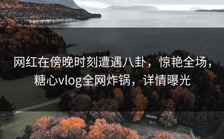 网红在傍晚时刻遭遇八卦,惊艳全场,糖心vlog全网炸锅,详情曝光