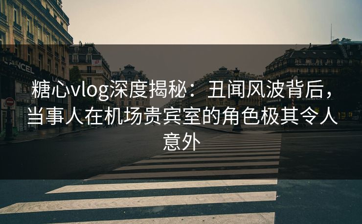 糖心vlog深度揭秘:丑闻风波背后,当事人在机场贵宾室的角色极其令人意外